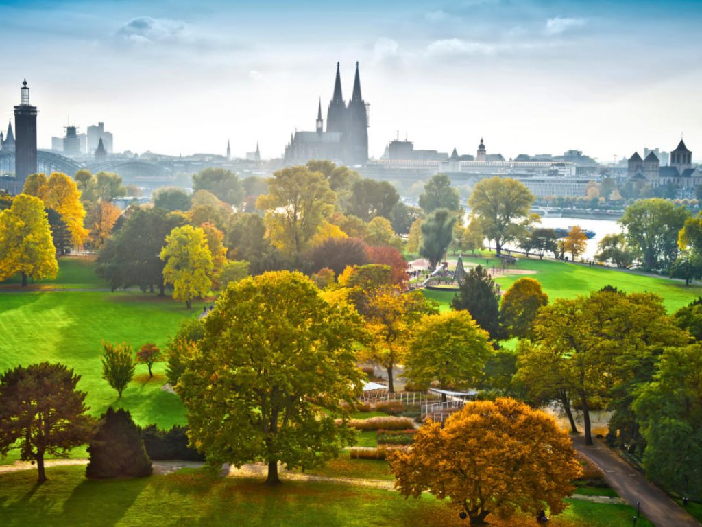 Blick von oben auf den Rheinpark in Köln-Deutz mit grünem Gras und Dom im Hintergrund.