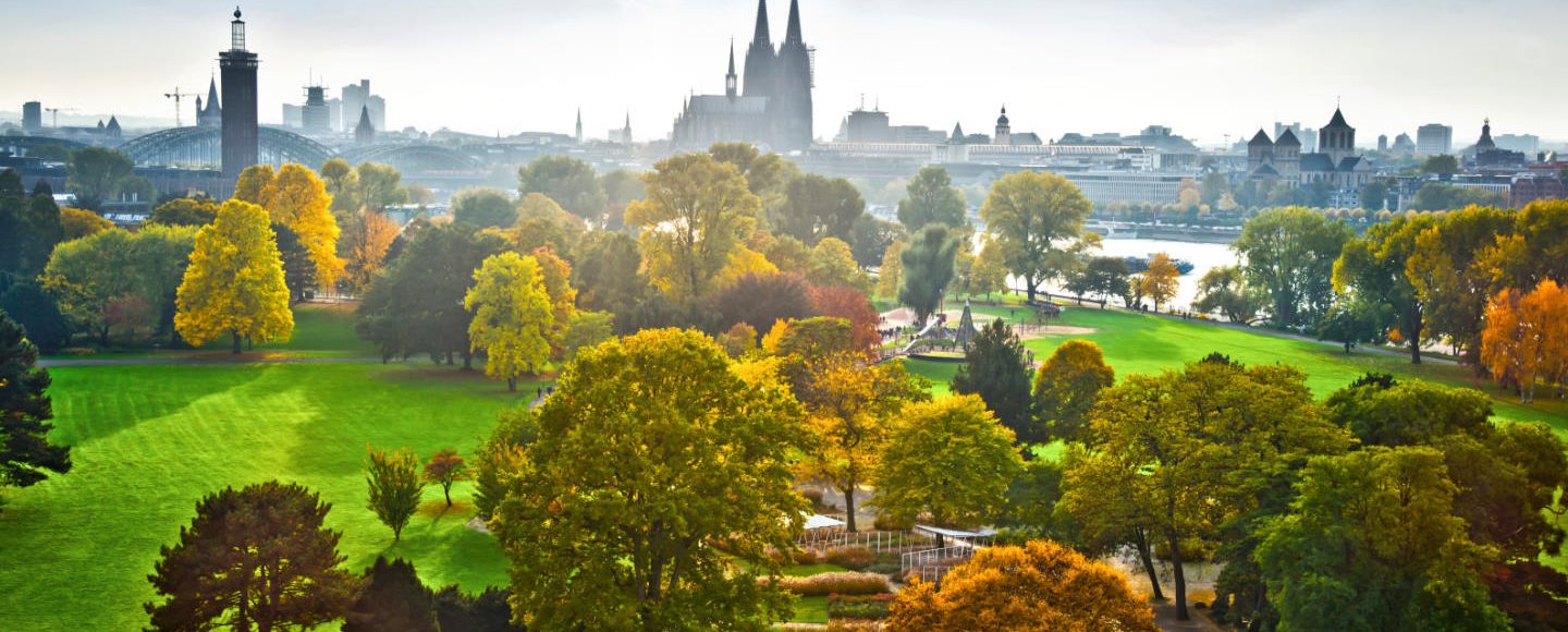 Blick von oben auf den Rheinpark in Köln-Deutz mit grünem Gras und Dom im Hintergrund.